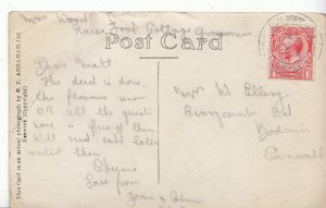 Genealogy Postcard - Family History - Ellery - Bodmin - Cornwall   U2072