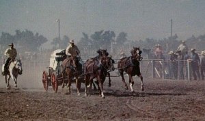 Postcard View of Chuckwagon Racing in Cheyenne, WY.          R7