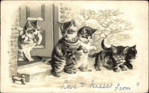 Adorable Kittens on Doorstep Birmingham England 1903 Cancel Vintage Postcard