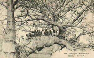 CPA AK Sénégal Afrique 488. Dakar - Fortier - Baobabs (70301)