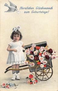 us166  happy birthday geburtstag flower chariot pigeon