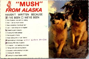 Alaska Mush From Alaska