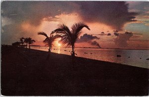 Chrome BEACH SCENE Key West Florida FL AH8114