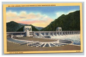 Vintage 1930's Postcard Fish Ladders Bonneville Dam Washington-Oregon