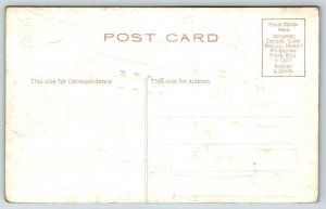 Boise  Idaho  State Capitol Building  Embossed  Postcard  c1915