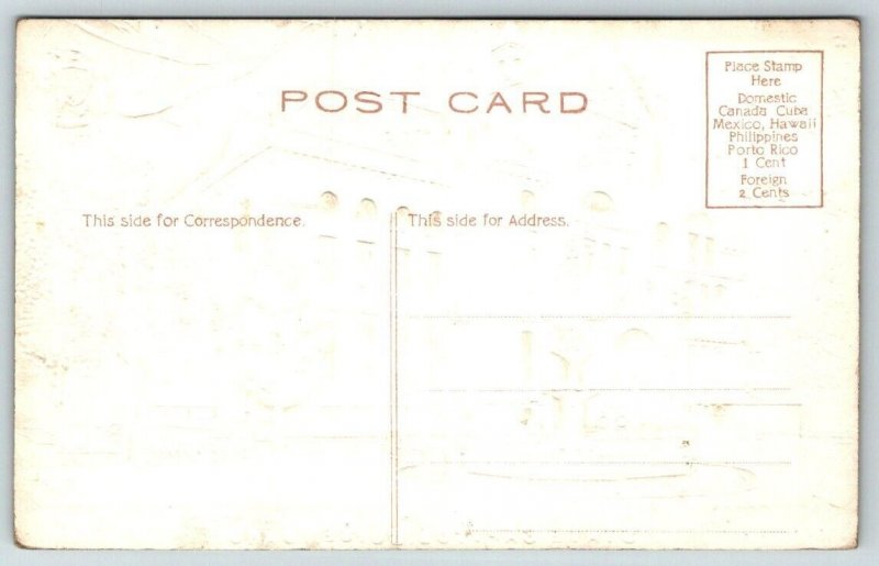 Boise  Idaho  State Capitol Building  Embossed  Postcard  c1915