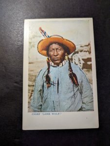 Mint USA Indigenous Native American Indian Postcard Chief Lone Wolf Portrait