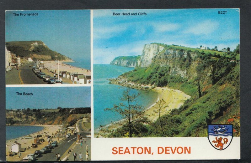 Devon Postcard Views of Seaton Beer Head & Cliffs, The Beach T6113