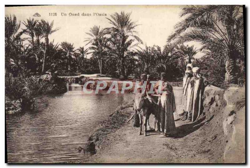 Old Postcard A Oued in & # 39Oasis Donkey Mule