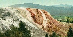 Postcard Antique View of Jupiter Terrace, Yellowstone Park, WY.     Q7