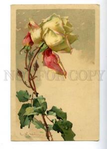 3161332 Charming ROSE Flower by C. KLEIN Vintage PFB PC
