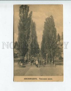 3160851 Russia Caucasus KISLOVODSK Poplar Alley Vintage PC