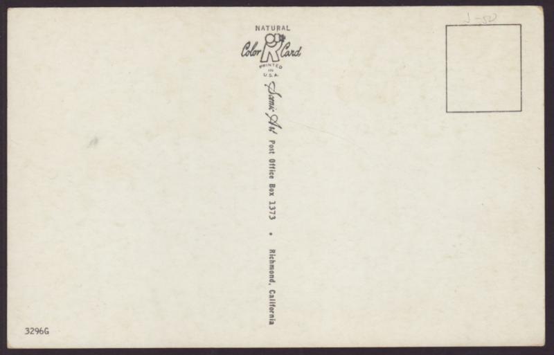 If You're So ---- Smart....,Hobo Cooking Hotdog,Comic