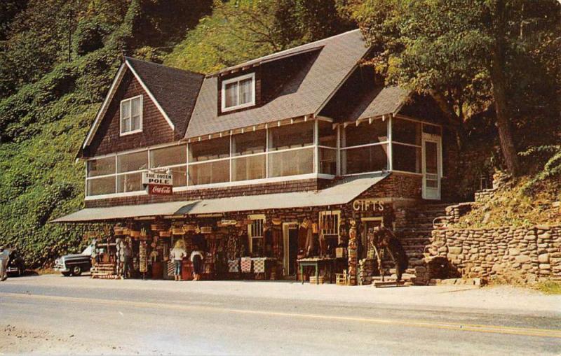 Great Smoky Mountains North Carolina Totem Pole Vintage Postcard K70720