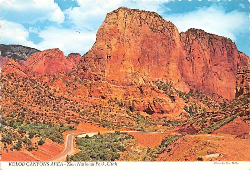 Kolob Canyons Area - Zion National Park, Utah