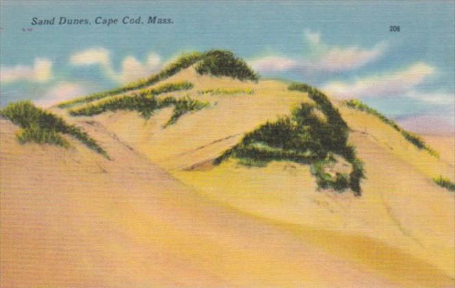 Massachusetts Cape Cod Sand Dunes