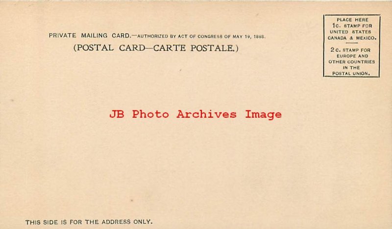 313003-Black Americana, Albertype No 1, PMC, Smiling Boy with Tattered Straw Hat