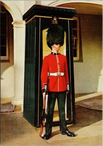 Sentry of Irish Guards St. James Palace London UNUSED Postcard D91