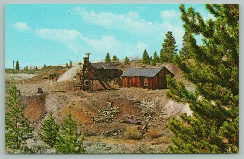 Leadville Colorado~Tabor's Matchless Mine~Wood Cabins~History on Back~1960s 