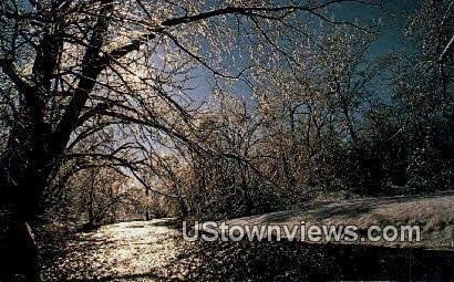 Wintertime In Cherokee Park - Louisville, KY