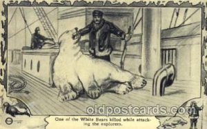 White bear was killed Exploration Unused 