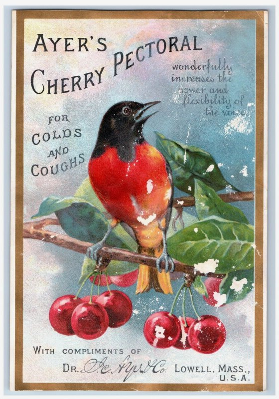 1880s-90s Scrap Dr. J. C. Ayer Cherry Pectoral Beautiful Bird 3G