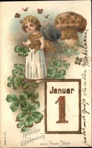 Neuen Jahre New Year German Fantasy Fairy Piglet Mushroom c1910 Postcard