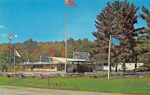 IRON MOUNTAIN MICHIGAN~HOUSE OF YESTERYEAR~AMAZNG ANTIQUES-ADVERTISING POSTCARD