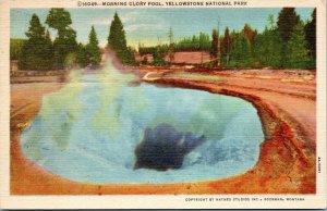 postcard Yellowstone National Park - Morning Glory Pool