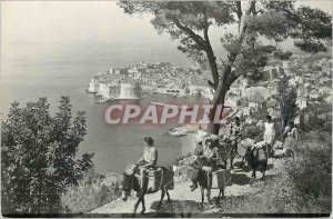 Postcard Modern Dubrovnik Donkey Donkey Folklore