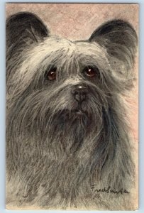 c1930's Skye Terrier Dog Puppy Signed Artist Stehli Switzerland Vintage Postcard