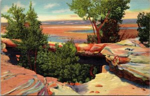 Natural Bridge Petrified Forest AZ Arizona Linen Postcard PM Grand Canyon Clean 