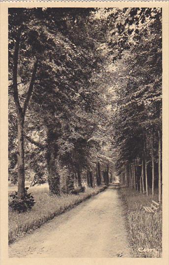 France Maintenon Allee Racine dans le Parc du Chateau