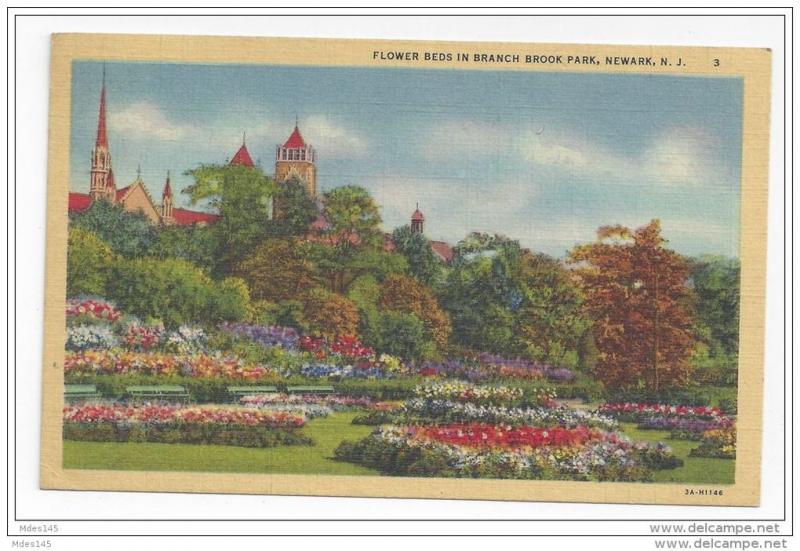 NJ Newark Branch Brook Park Flower Beds Vintage Linen Postcard 1949