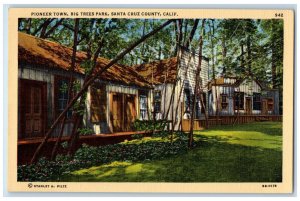 Pioneer Town House Big Trees Park Santa Cruz County California CA Postcard 