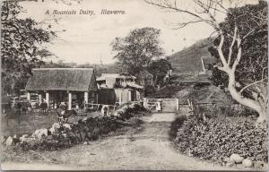 A Mountain Dairy Illawarra Australia AU w Stamp c1910 Postcard E55 