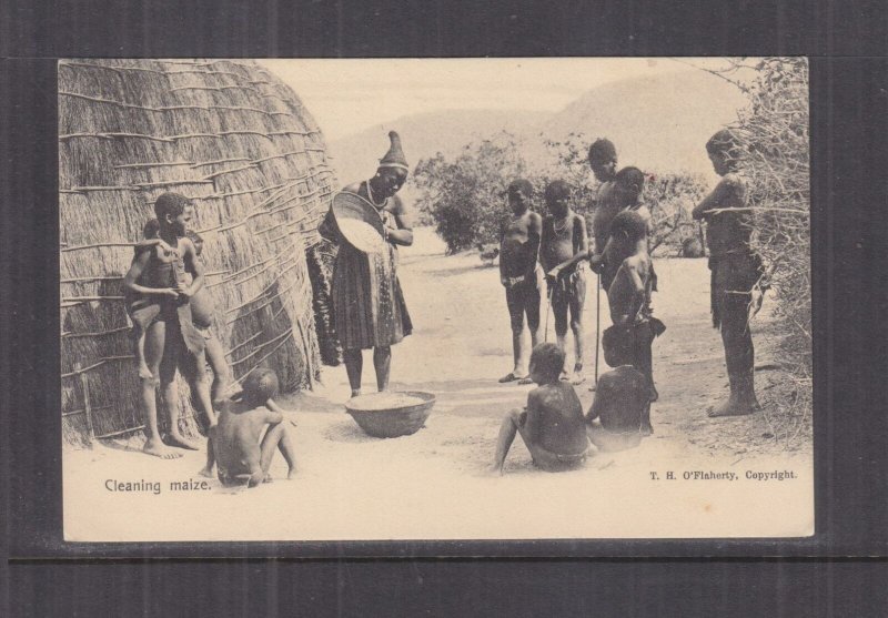 KENYA,BRITISH EAST AFRICA, CLEANING MAIZE, c1910 ppc., unused. 