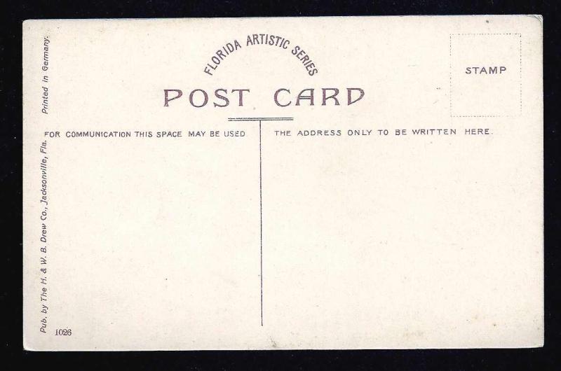 Riverside Avenue Jacksonville Florida unused c1910