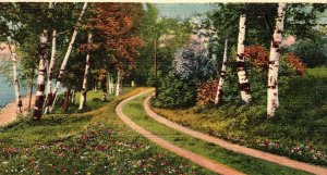 1935 MEMORY TRAIL FORREST DIRT ROAD FLOWERS SCENIC POETIC LINEN POSTCARD P37