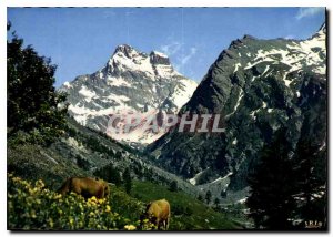 Modern Postcard In Alpages du Mont Viso