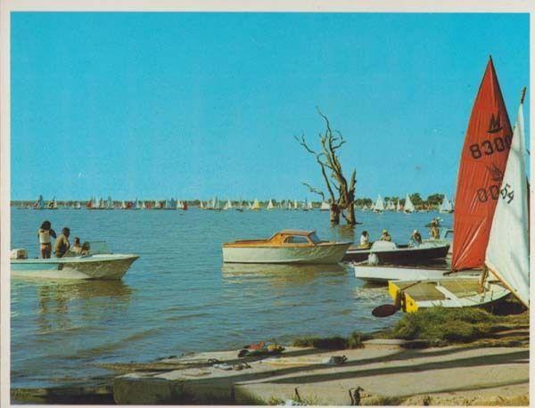 Summer Days in Lake Bonney Barmera South Australia Postcard