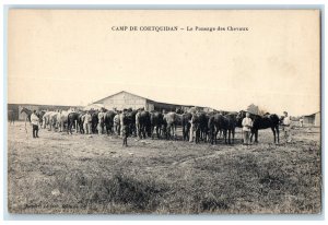 1918 Horse Grooming Coetquidan Camp Saint-Malo-de-Beignon France Postcard