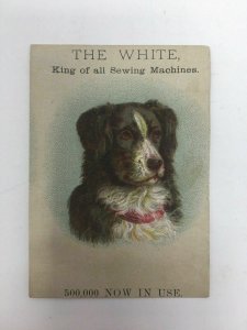 Victorian Trade Card Alex Mahan Cortland NY The Shite Sewing Machine Dog