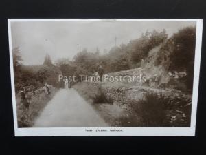 Leicestershire WHITWICK Mount St Bernards Abbey MOUNT CALVARY c1909 RP Postcard