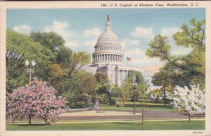 United States Capitol Building At Cherry BLossom Time Washington D C Curteich