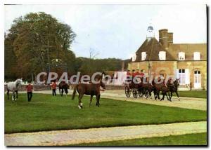 Modern Postcard On The Honor Court Haras Du Pin Exmes