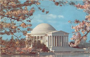 US4 US Washington D.C. The Jefferson Memorial at cherry blossom time 1979
