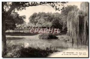 Angers Old Postcard a beautiful part of Garden plants