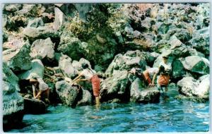 SANTIAGO ATITLAN,  GUATEMALA, Central America    WASHERWOMEN    Postcard