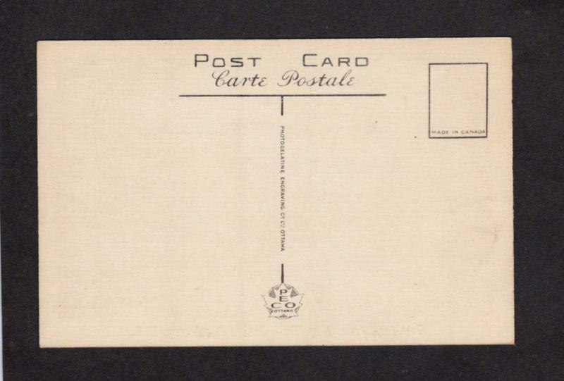 NB Greetings From Bay View Camp Pocologan New Brunswick Carte Postale Canada